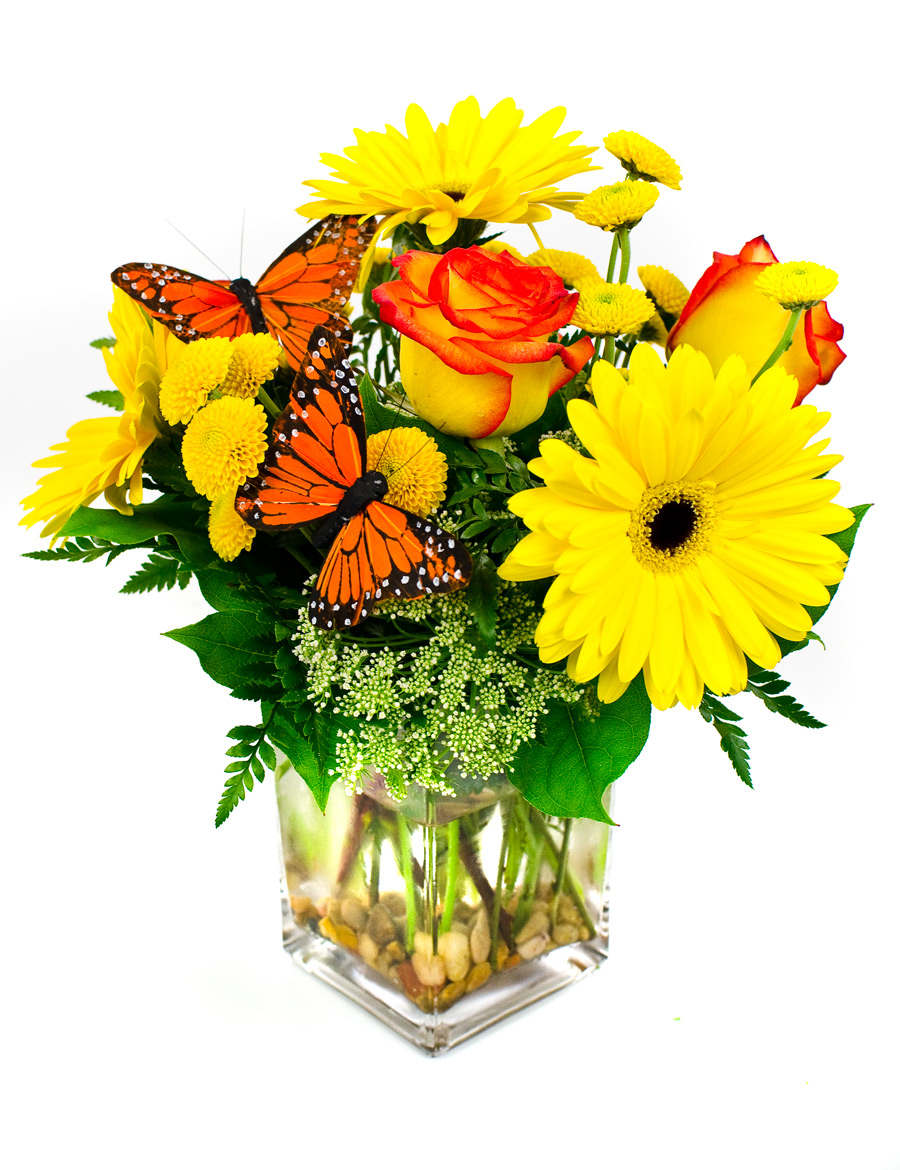 <b>Notice</b>: Undefined index: name in <b>/home/stranges/public_html/shop/vqmod/vqcache/vq2-catalog_view_theme_default_template_product_search.tpl</b> on line <b>386</b>